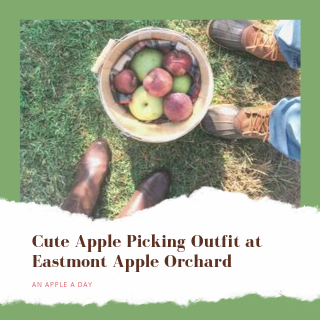 Apple Picking Outfit