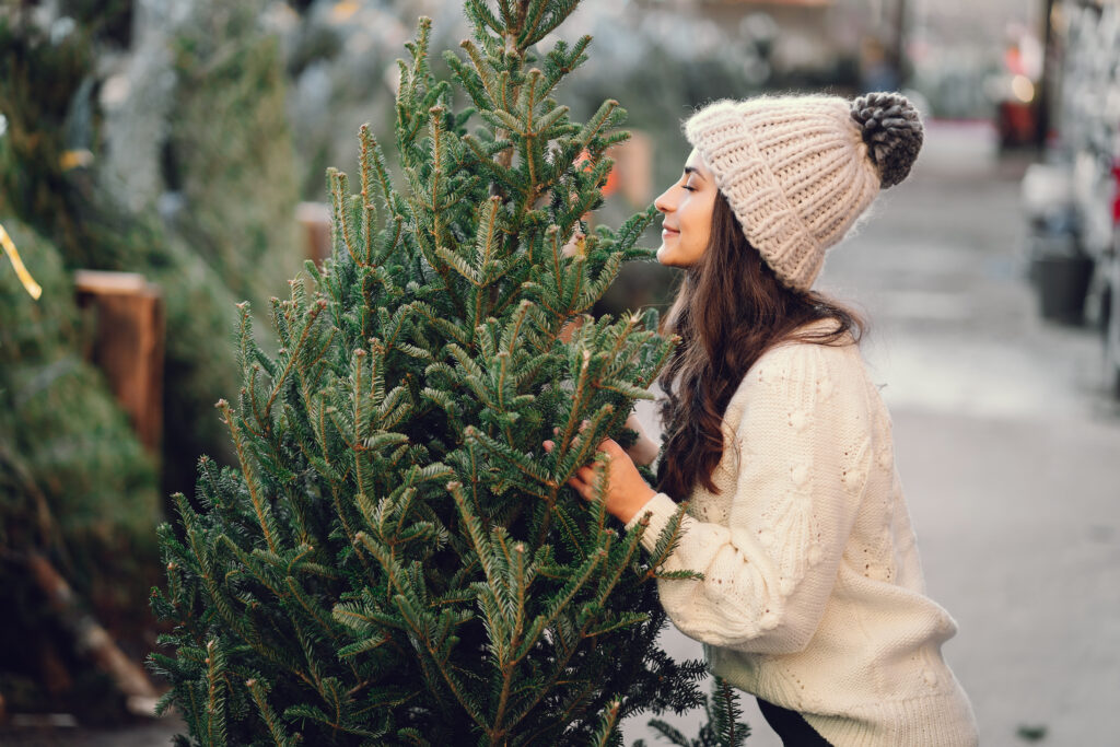 Girl with a cute hat and sweater holding a Christmas tree