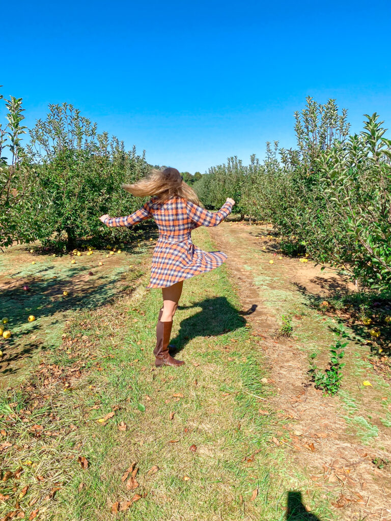 Fall apple picking outfit at Eastmont Orchards