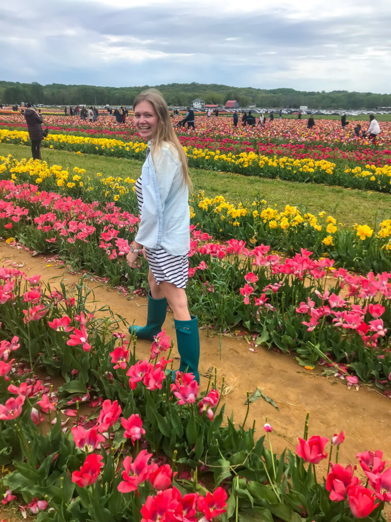 Holland Ridge Farm Tulip Festival.