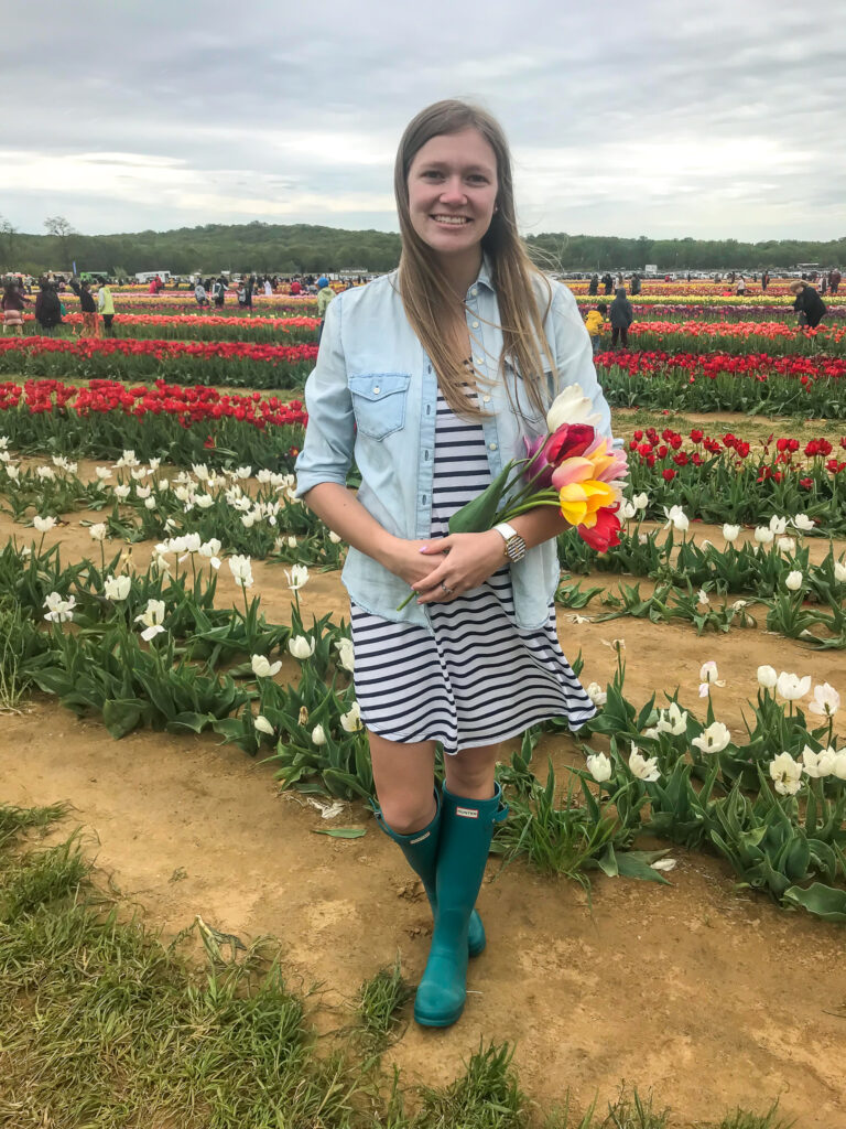 Holland Ridge Farm Tulip Festival.