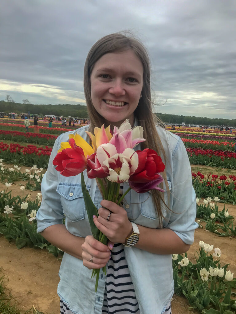 Holland Ridge Farm Tulip Festival.