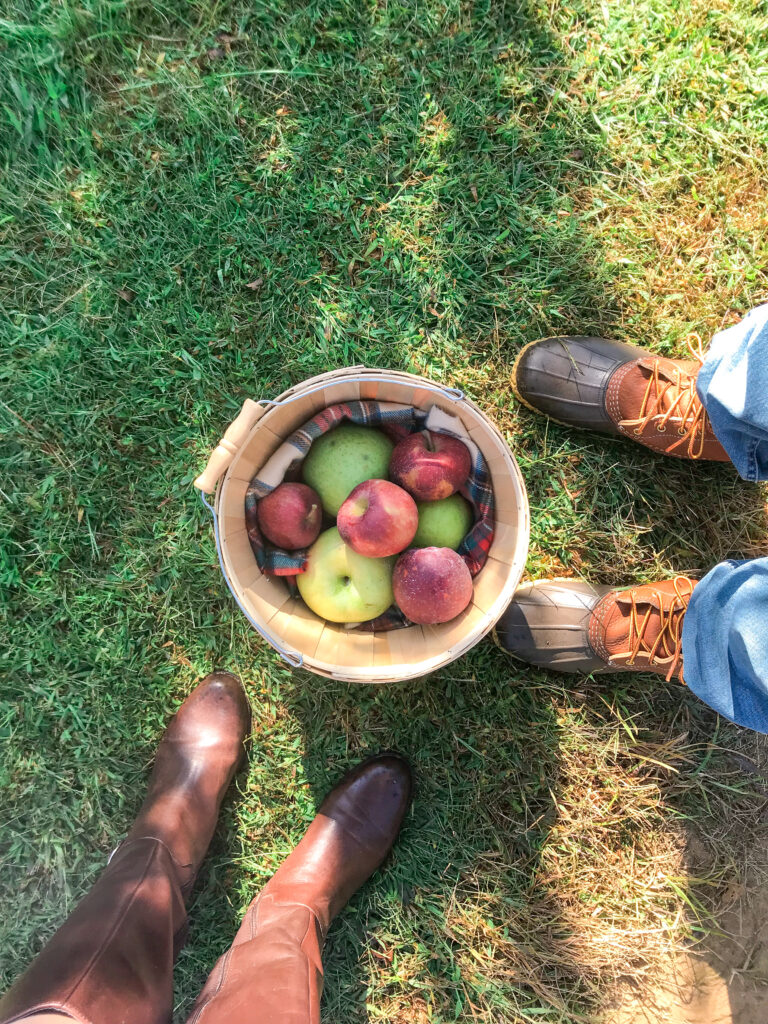 An Apple a Day at Eastmont Orchard