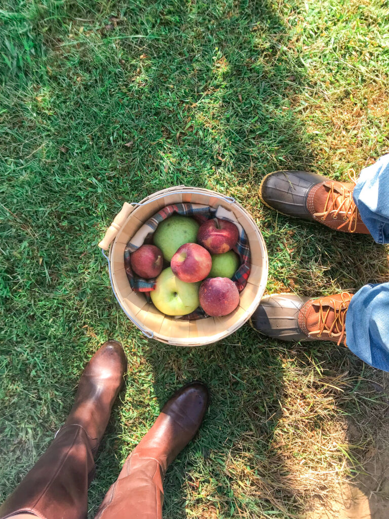  An Apple a Day at Eastmont Orchard