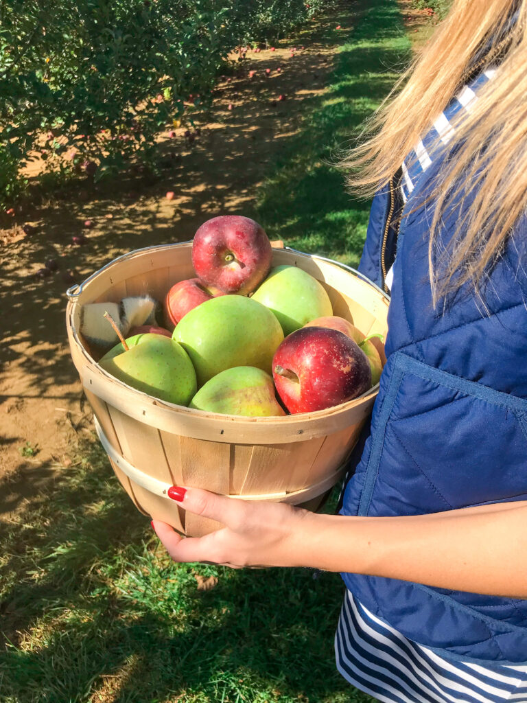 An Apple a Day at Eastmont Orchard