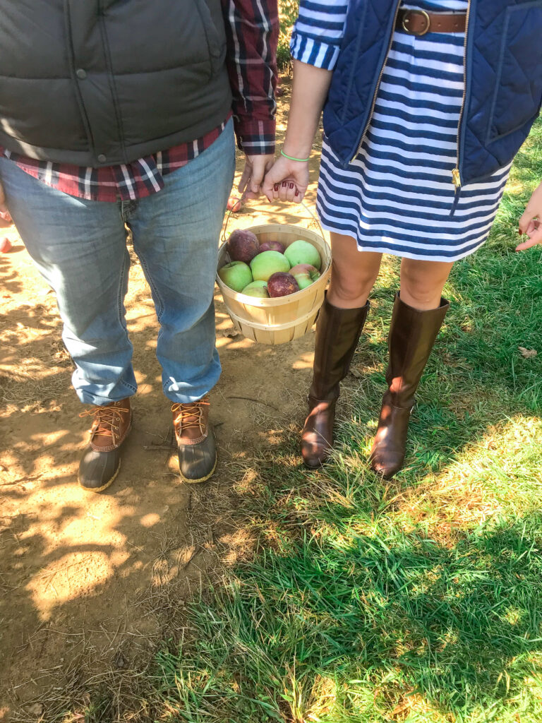 An Apple a Day at Eastmont Orchard