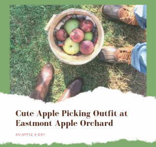 Apple Picking Outfit