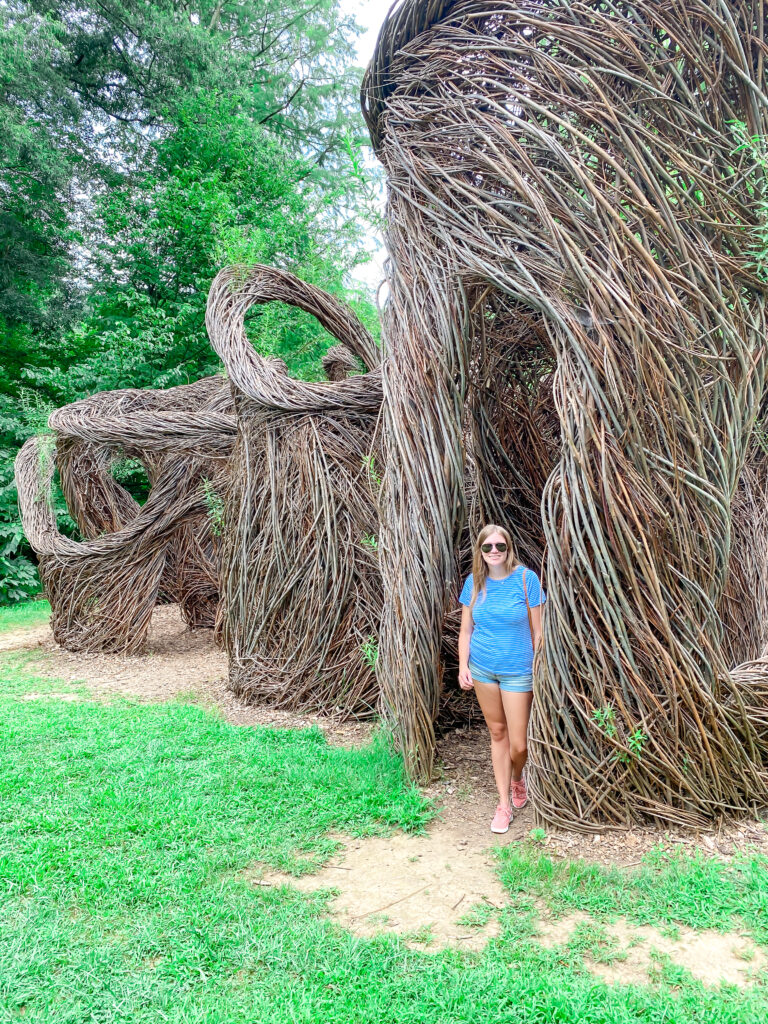 Morris Arboretum of the University of Pennsylvania living maze