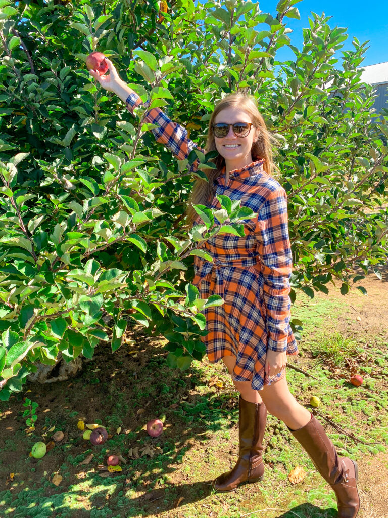 Fall apple picking outfit at Eastmont Orchards