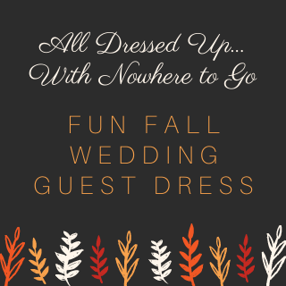 fall wedding guest dress